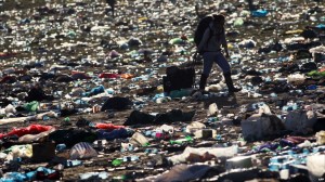 Your links and articles are SEO litter and trash!
