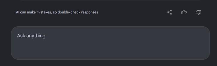 Ask Anything box at the end of an AI overview